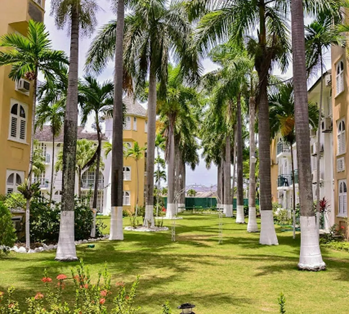 Sunkissed Suites At Sandcastles Ocho Rios Jamaica